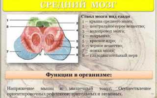 Как работает и из чего состоит память любого человека?