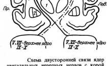 Бульбарный синдром: развитие, признаки и проявления, диагноз, как лечить